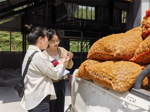 重庆 助推乡村振兴战略全面落实