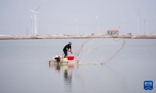 河北黄骅 水产养殖拓宽渔民增收致富渠道凤凰网河北 凤凰网
