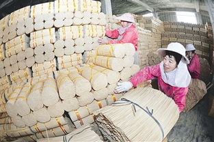 建瓯 竹制品加工厂的员工忙于打包新产品