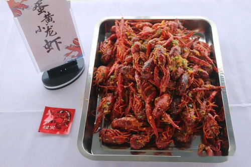 稻虾共养 生态农业的绿色盛宴