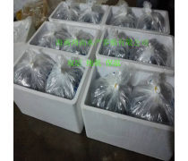 虾苗产品库 品种、选择与管理指南